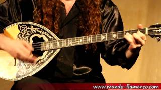 Bouzouki live improvisation [upl. by Doane]