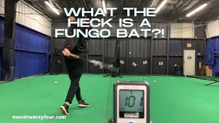 What Is A Fungo amp Why Do All Coaches Need One [upl. by Way]