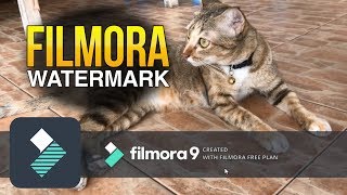 Wondershare Filmora Watermark [upl. by Etennaej]