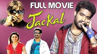 Jackal Full English Dubbed Movie HD  NTR  Hansika  Sunil  Kantri Telugu Movie [upl. by Hally]