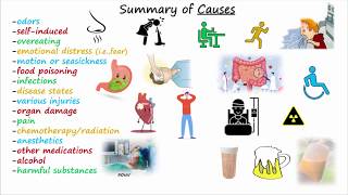 Antiemetics amp Antinausea Medications [upl. by Coe242]