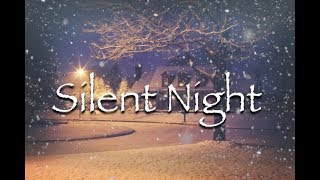 Silent Night  Instrumental [upl. by Malloy996]