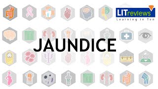 A Clinical Approach to Jaundice [upl. by Bud]