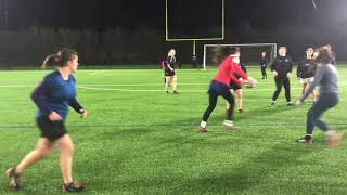 Rugby For Beginners  Touch Rugby Basic Rules [upl. by Nnylannej]