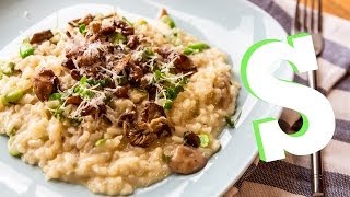 Cooking with Mushrooms Delicious Recipes [upl. by Aiyotal157]