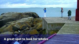 Campobello Island New Brunswick Bay of Fundy Travel Show Episode 13 [upl. by Om]