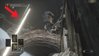 THE RINGED CITY MAJOR SECRET SHORTCUT TO DEMON PRINCE BOSS FIGHT EASY [upl. by Adnek]