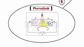 Optical Decives  LED  PhotoDiode  Construction amp Working [upl. by Dorca]