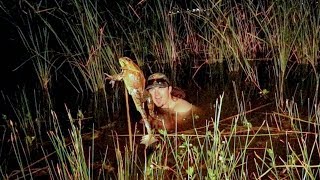 BULLFROG Gigging in Texas Catch Clean Cook FROGZILLA [upl. by Martina435]