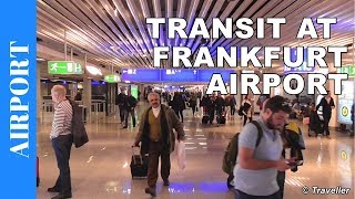 TRANSIT WALK AT FRANKFURT Airport FRA Terminal 1  Connection Flight Transfer Arriving amp Departing [upl. by Hubsher287]