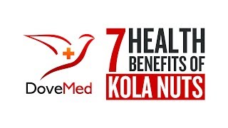 7 Health Benefits Of Kola Nuts [upl. by Conard]