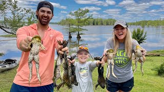 Fishing for HUGE Bullfrogs Catch Clean and Cook Fried Frog Legs [upl. by Alves716]